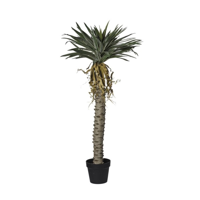 PIANTA YUCCA CON 105 FOGLIE CM128